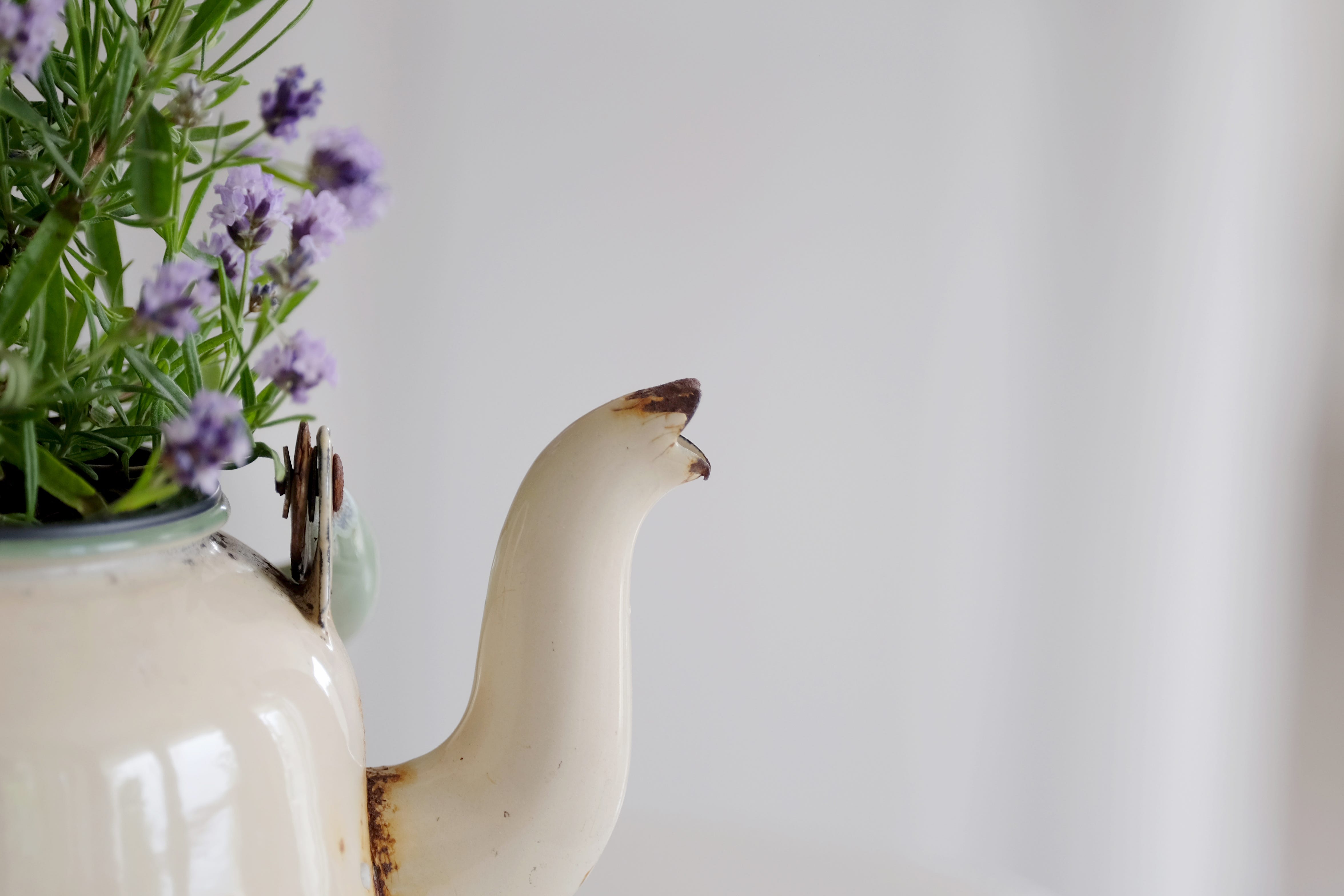 tpot machine learning