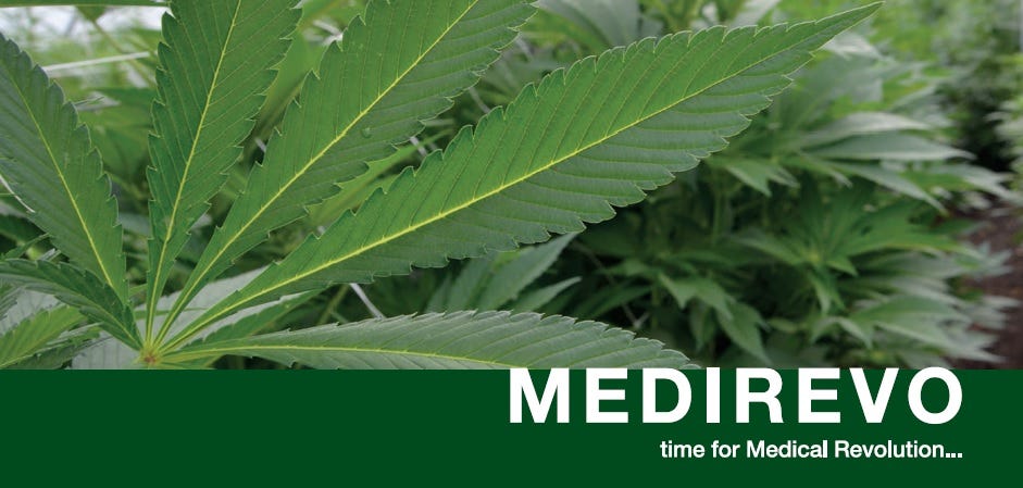 Kenevir Nedir Kenevir In Faydalari Nelerdir Turkiye De Kenevir Uretimi Yapilabilir Mi Galeri