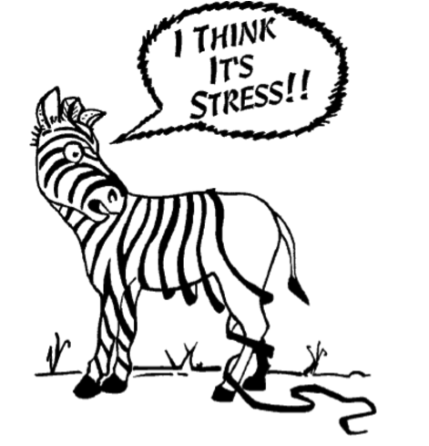 Burnout Among Women With Infertility By Priyam Rajkhowa Assiduity Medium