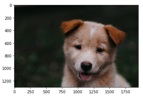 Python Image processing with Opencv— Part 1 | by Vyshnav M T | Medium