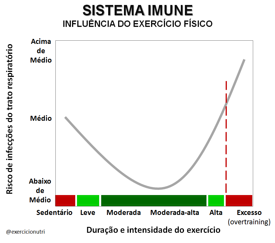 Que o sistema imune nos proteja da COVID-19 e outras doenças | by Jair  Rodrigues Garcia Júnior | Medium
