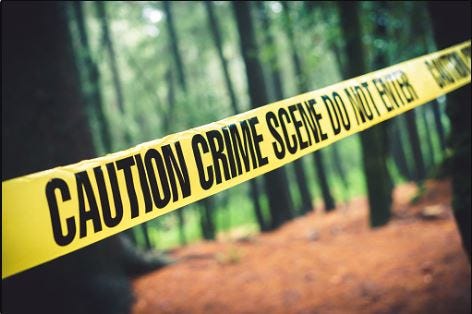 Crime scene tape is stretched between trees in a forest