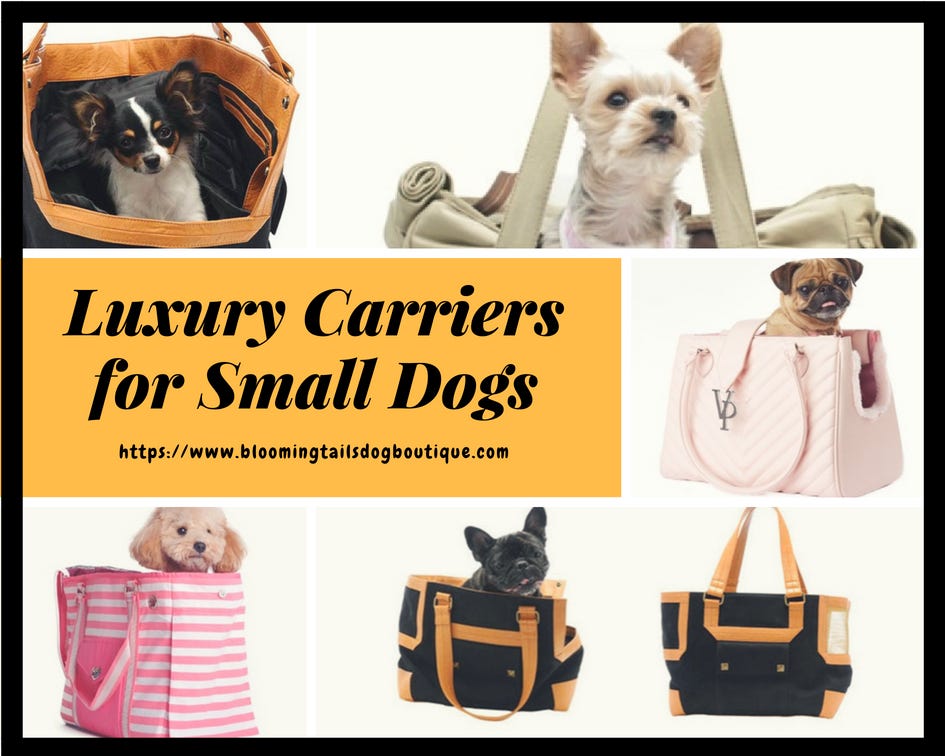 small animal carriers