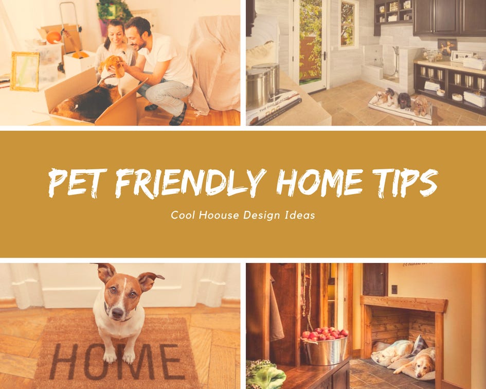 Top Home Interior Design Ideas For A Pet Friendly House