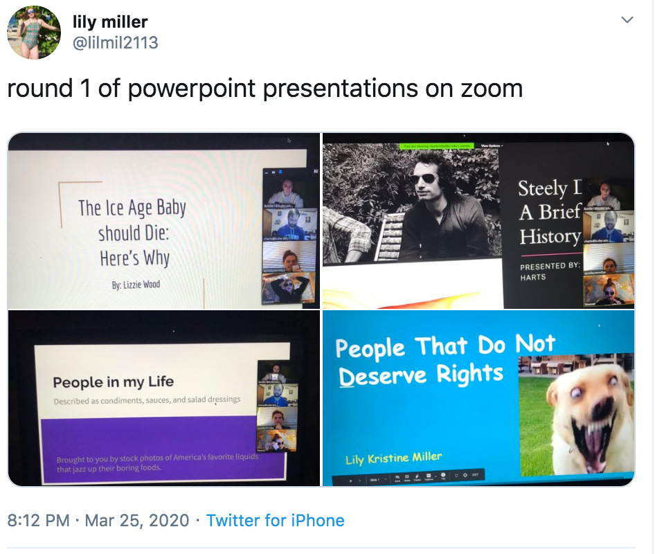 Niche Powerpoint Parties Are What S Keeping Us Educated In By Kristin Merrilees Medium