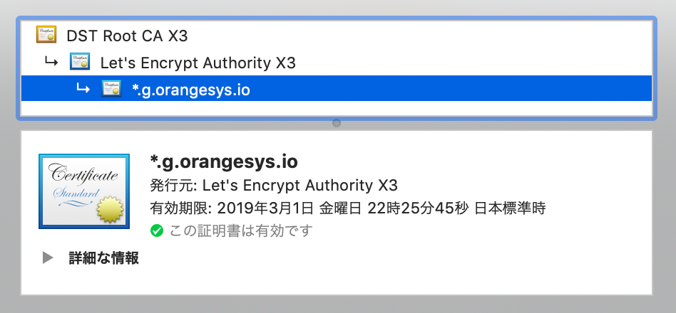 Wildcard Cert Cert Manager On Gke By Gavin Zhou Orangesys Medium