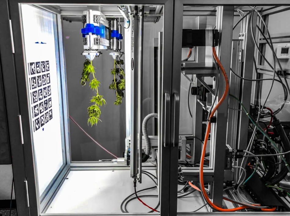 electrical automation and robotics technology