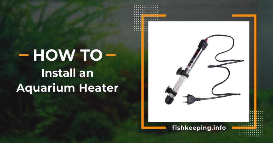 How to install an aquarium heater by fish keeping Medium