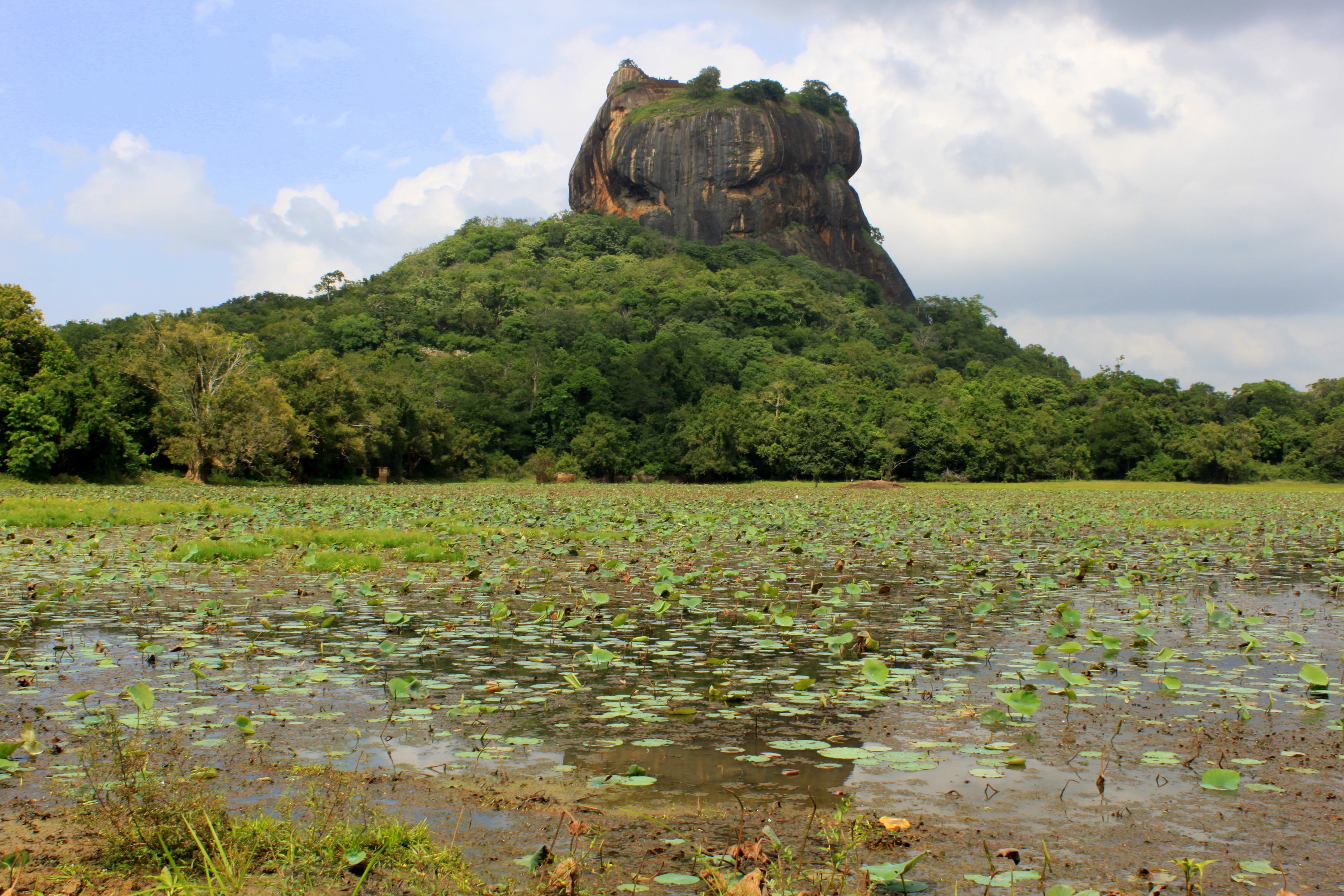 Sigiriya Lion Rock Sri Lanka Mountain Historic Future Travel