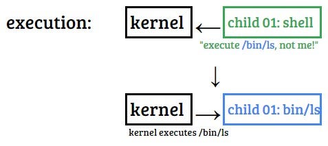 How The Shell Terminal Reads Inputs | by J.I. Cruz for Holberton School ...