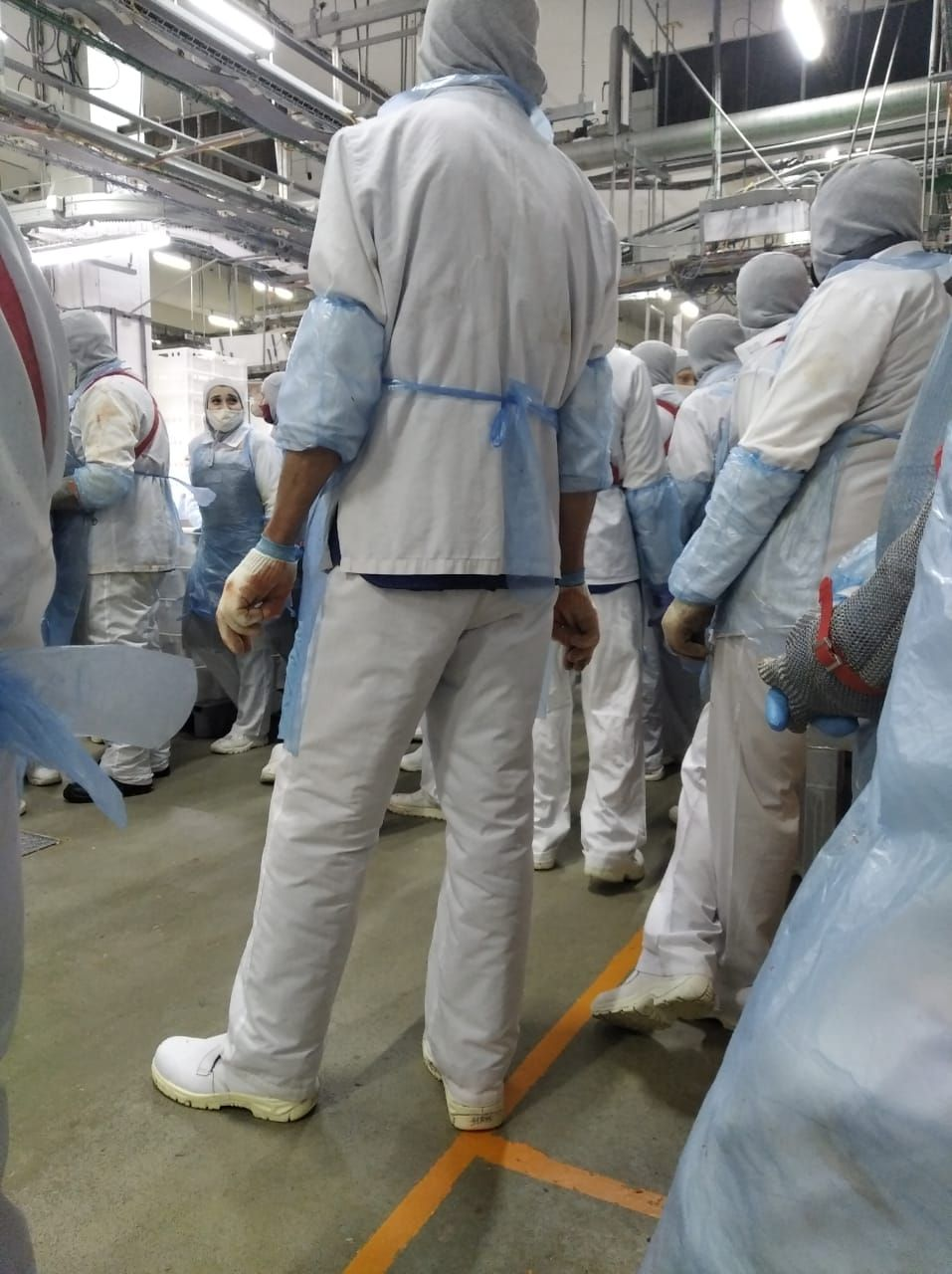 мираторг отзывы сотрудников.