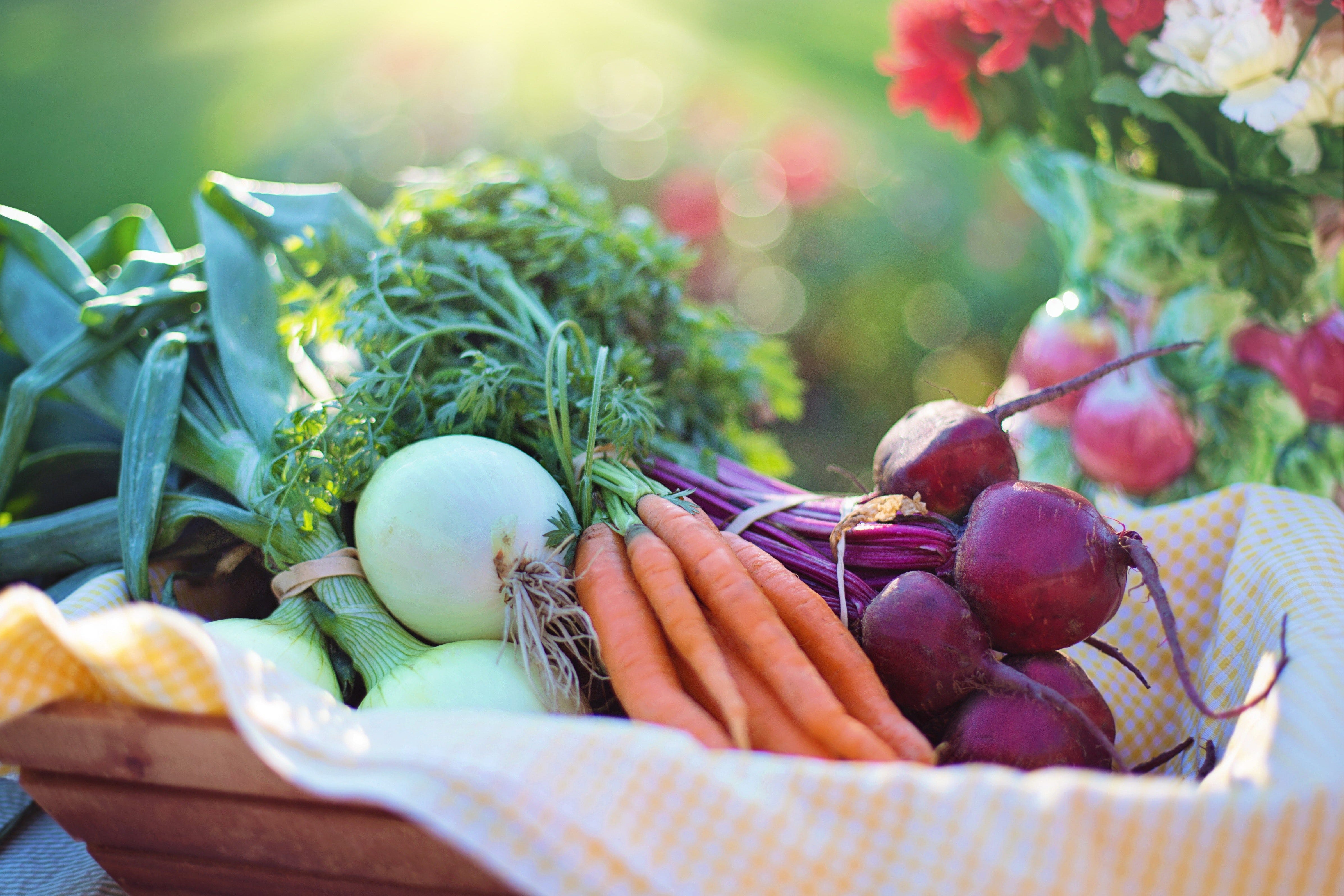 Organic Farming and its Benefits. Organic farming produces food while… | by  SeeTree.AI | Medium