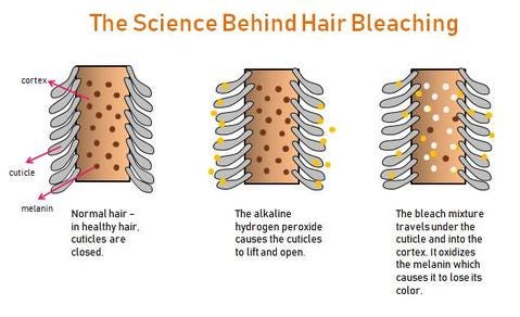 How I Repaired My Bleach Damaged Hair | by Andrea Zavala | Medium