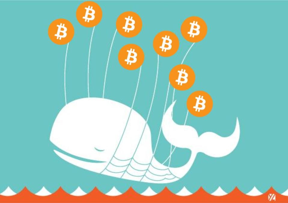 Bitcoin's fail whales. How low will BTC go? | by David Gibbons | Medium