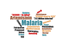 The Issues with Malaria