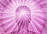 Practical Mind Mastery