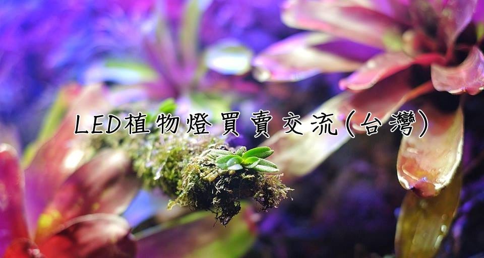 Led波長特性完全符合植物光合成和光形態建成的光譜需求 設施led園藝照明 Horticulture Led By Ltri光研院 Vitagri生物照明 Medium