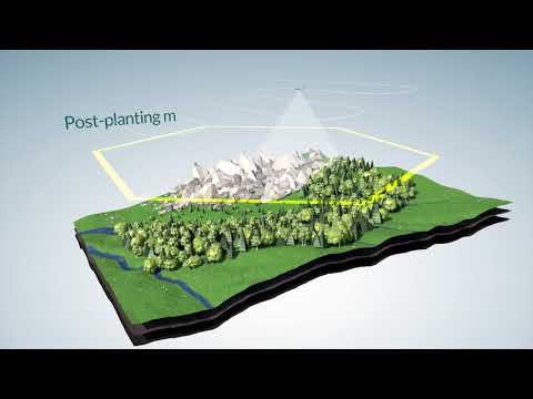Drones Planting Trees: An interview with BioCarbon Engineering | by ...