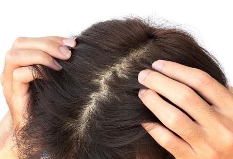 Do You Know Everything About The Thickness Of Human Hair