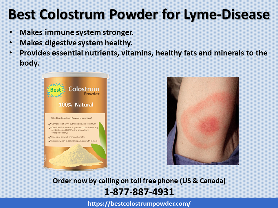 What to Do When You Get Lyme Disease? by Tommy Peterwood Medium