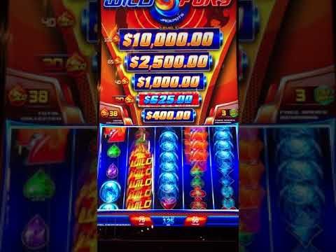 Wild fury slot machines Wild fury slot machines