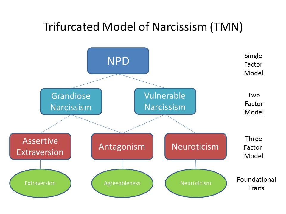 the-core-trait-4types-of-narcissists-share