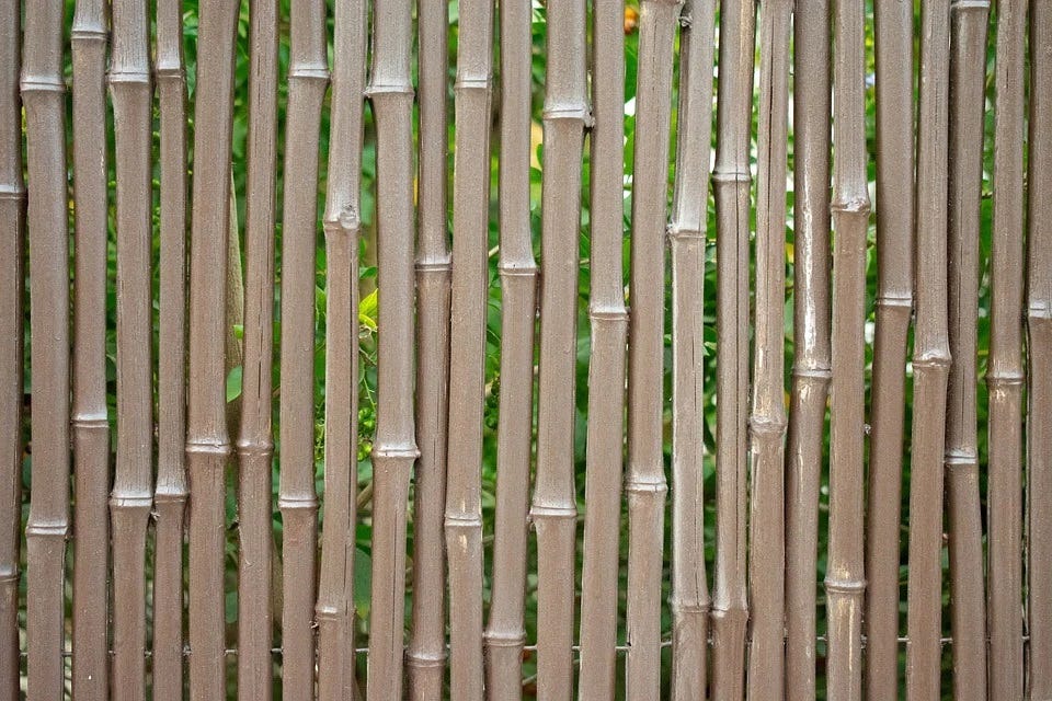 Increase The Beauty Of Your Garden By Placing Bamboo Canes For Outdoor ...