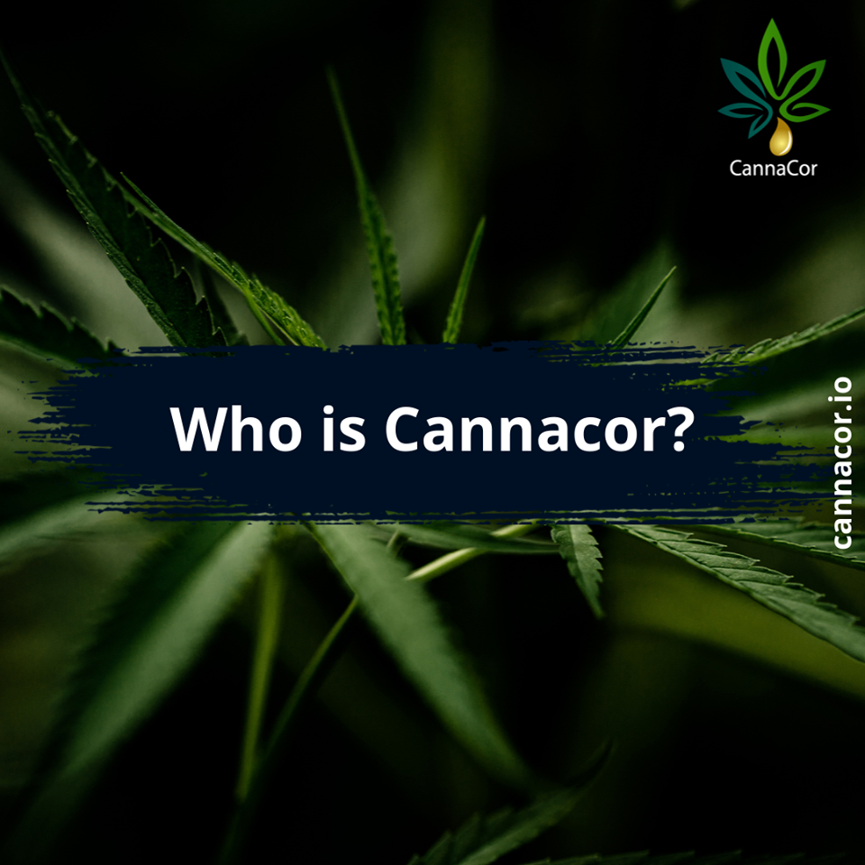 Image result for cannacor bounty