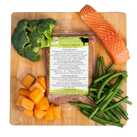 best raw dog food delivery