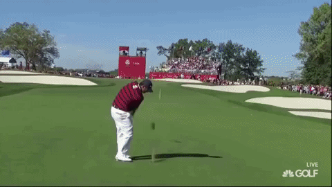 Ryder Cup Review Superlative Report Card Robbie Vogel