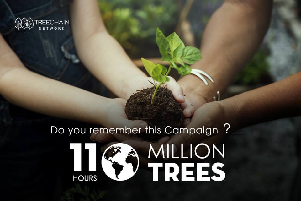 International Planting Day — Planting 110 million trees in 11 hours | by  TREECHAIN NETWORK | Medium