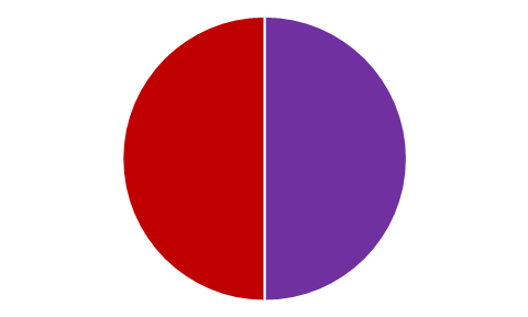 50 50 Pie Chart