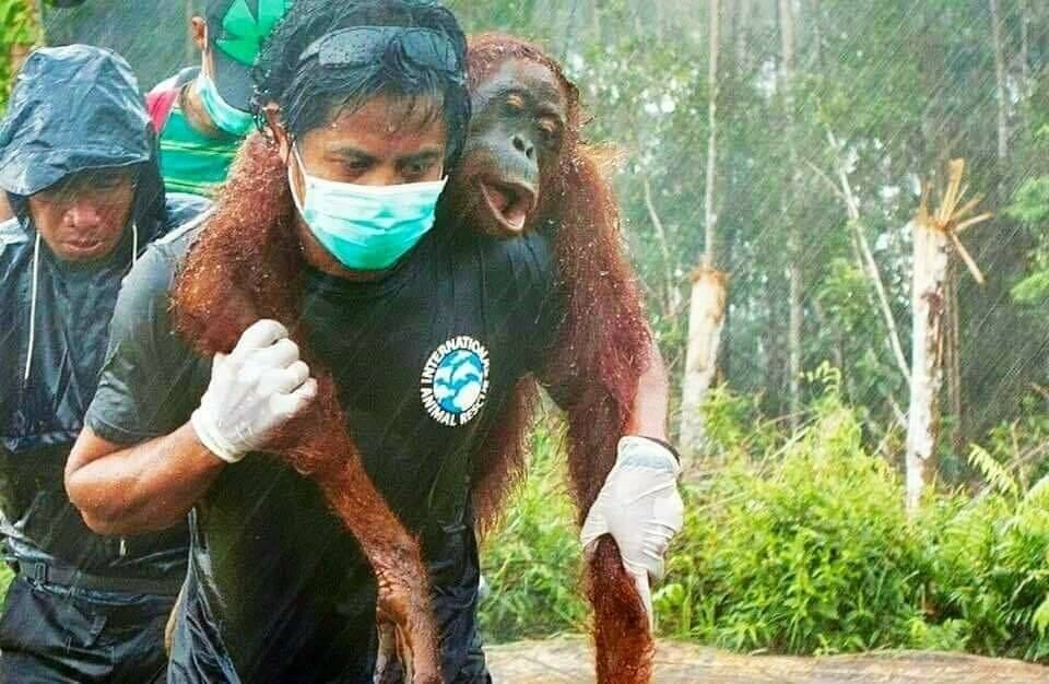 Carehomebedfinder Save The Amazon Rainforest By Carehomebedfinder Find The Best Care Homes In Uk Medium Carehomebedfinder Save The Amazon Rainforest By Carehomebedfinder Find The Best Care Homes In Uk Medium