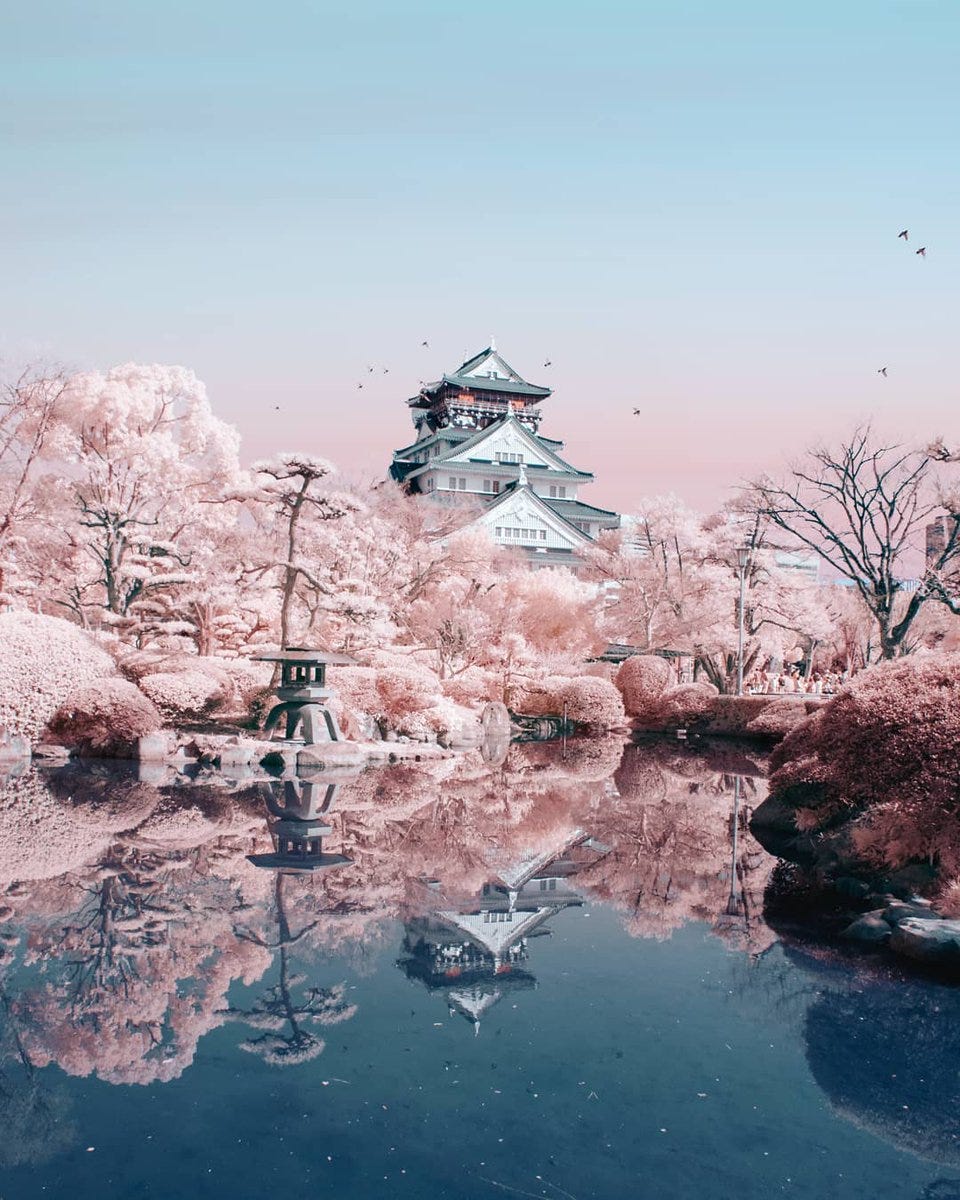 sakura ueno air force one