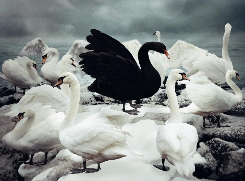 Stå op i stedet At bidrage Andesbjergene Black Swans, climate change and remote innovation | by Jassi Porteous |  Fluxx Studio Notes | Medium