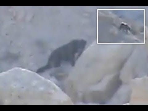 The Legends Surrounding Skinwalker Ranch Ashley Hanson - 