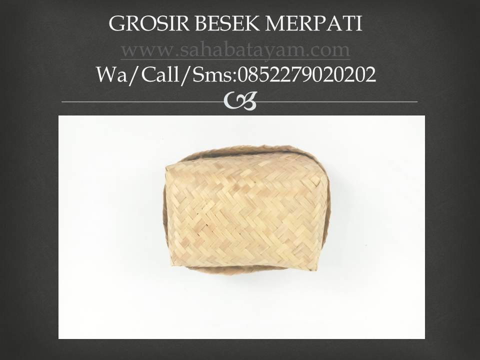 Wa O85 227 9o2o2o Heboh Kandang Merpati Balap Bagus Makassar
