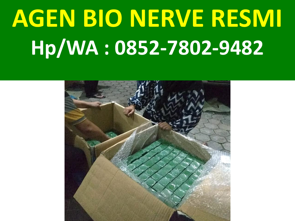 Harga Bio Nerve Asli Hp/WA : 0852–7802–9482 - Agen Bio ...