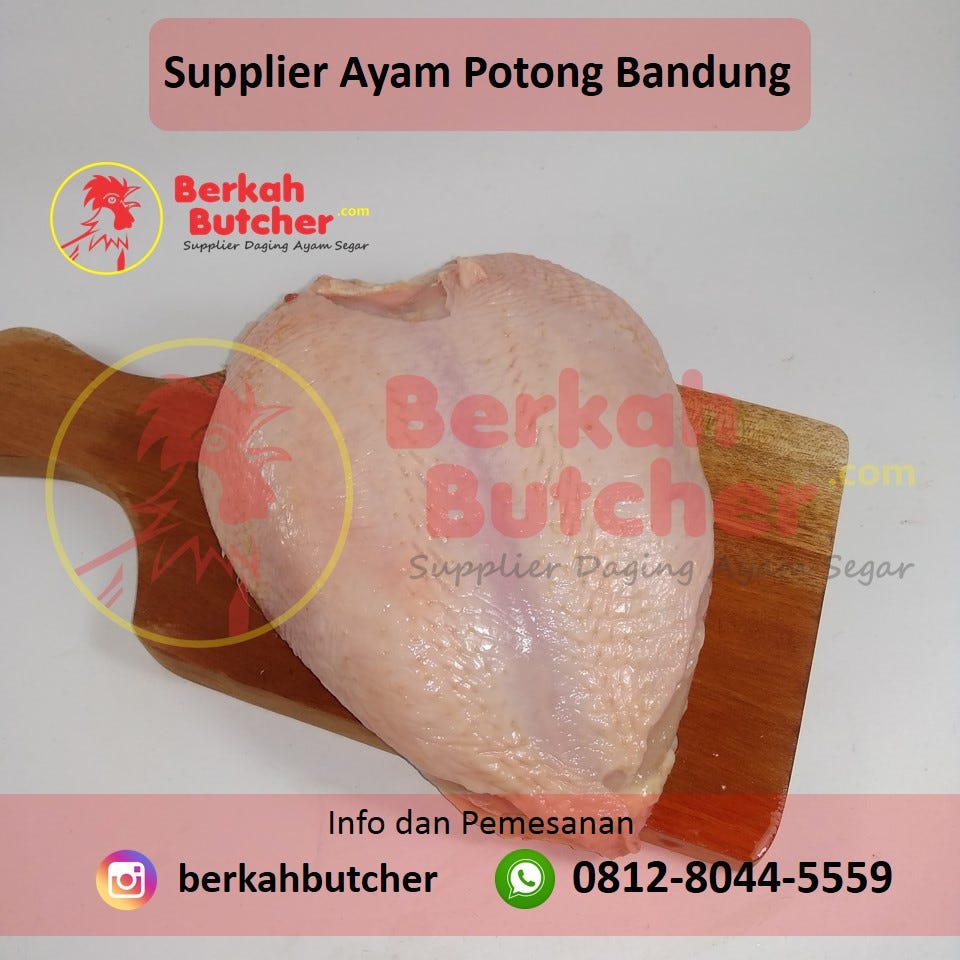 Supplier Boneless Paha Tlpwa 081280445559 Berkah Butcher