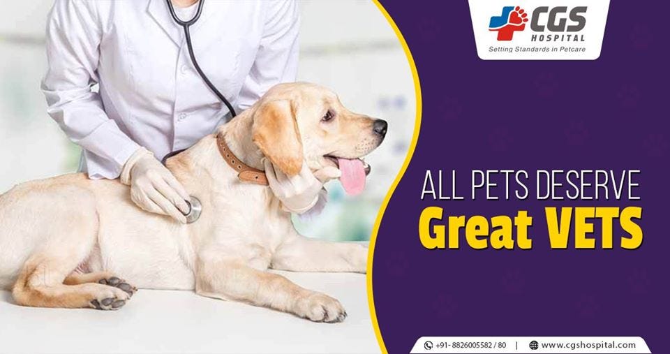 all pet veterinary