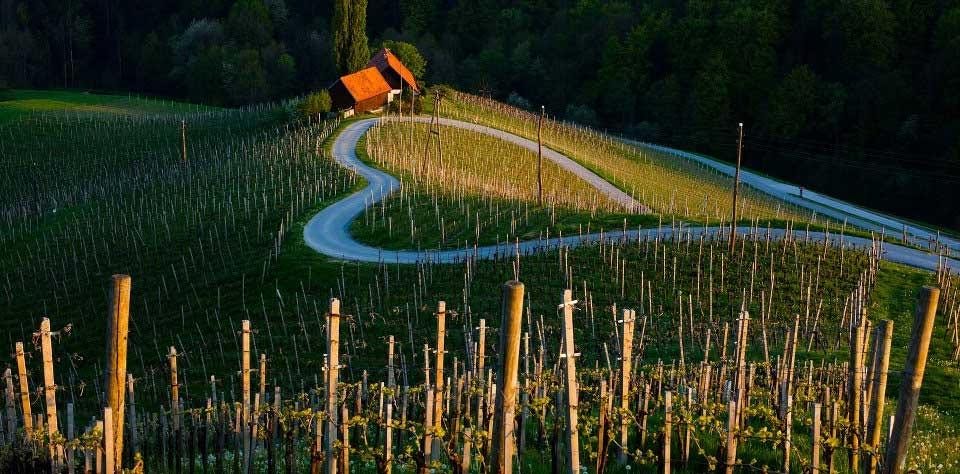 the art of transition. this past week i read two posts that… by joe jacobi mission.org medium the art of transition.