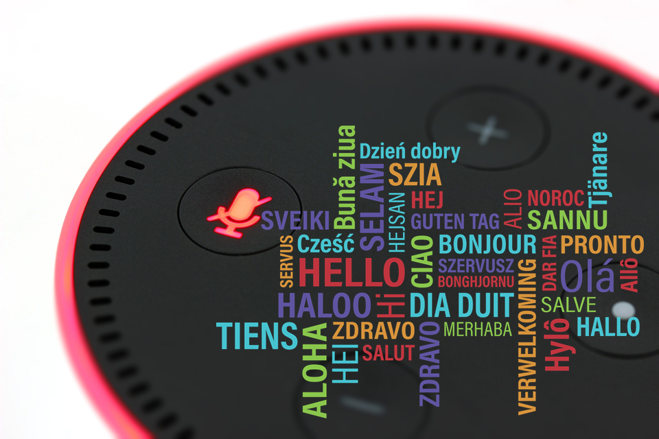 alexa bilingual