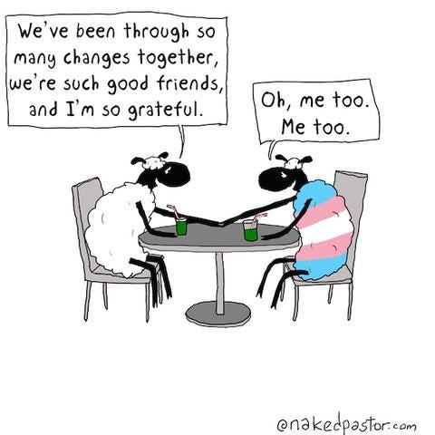 A cartoon by NakedPastor. A trans sheep and a white sheep are sitting together at a table. The white sheep says to the trans sheep, “We’ve been through so many changes together, we’re such good friends, and I’m so grateful.” And the trans sheep replies, “Oh, me too. Me too.”