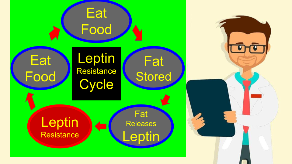 Dieting Exercising Not Losing Weight? 3 Most Overlooked Reasons by E