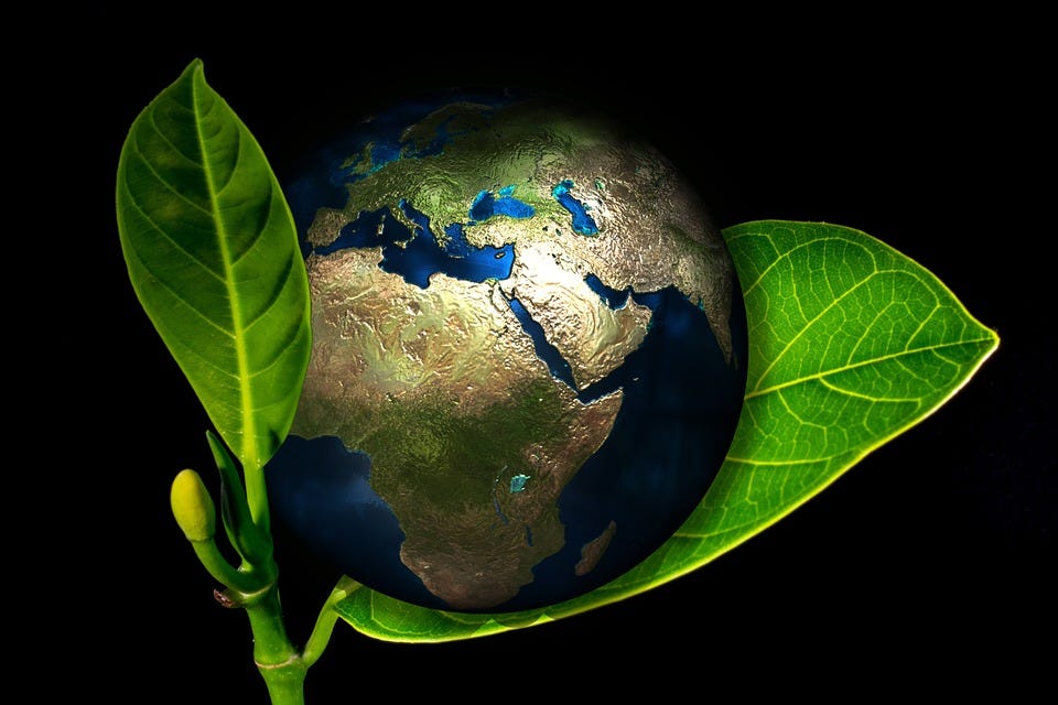 Dreaming A Perfect World The Role Of Imagination In Sustainability By David Kosciulek Medium Dreaming A Perfect World The Role Of Imagination In Sustainability By David Kosciulek Medium