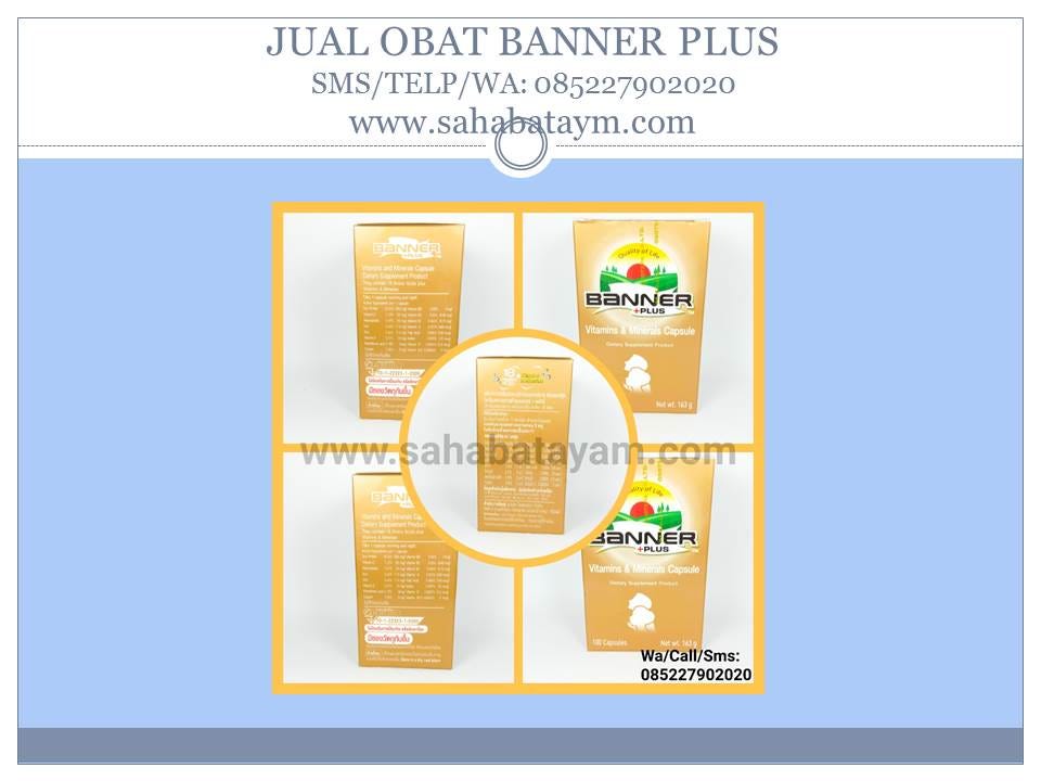 Wa O852279o2o2o Kualitas Super Tempat Order Vitamin Ayam