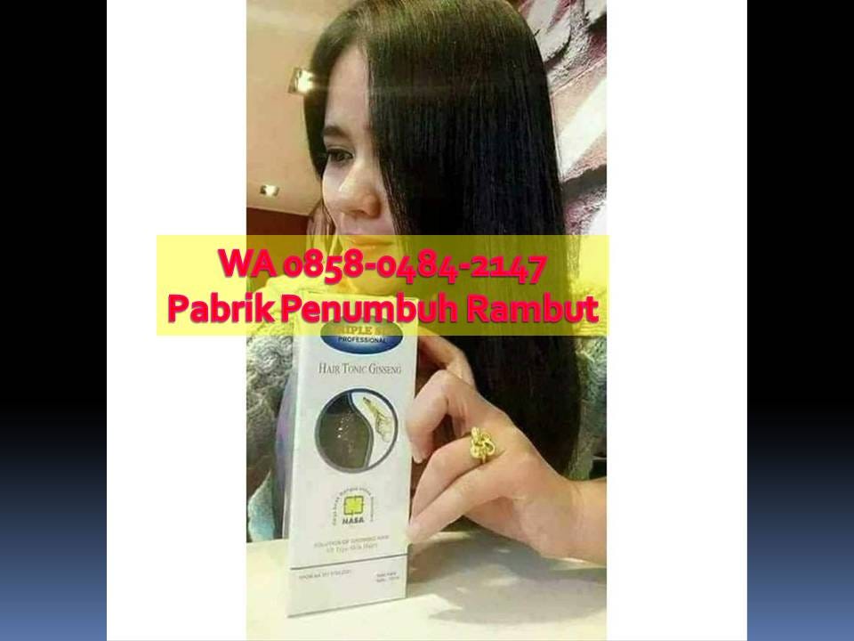 Wa 0858 0484 2147 Agen Penumbuh Rambut Alami Di Medan
