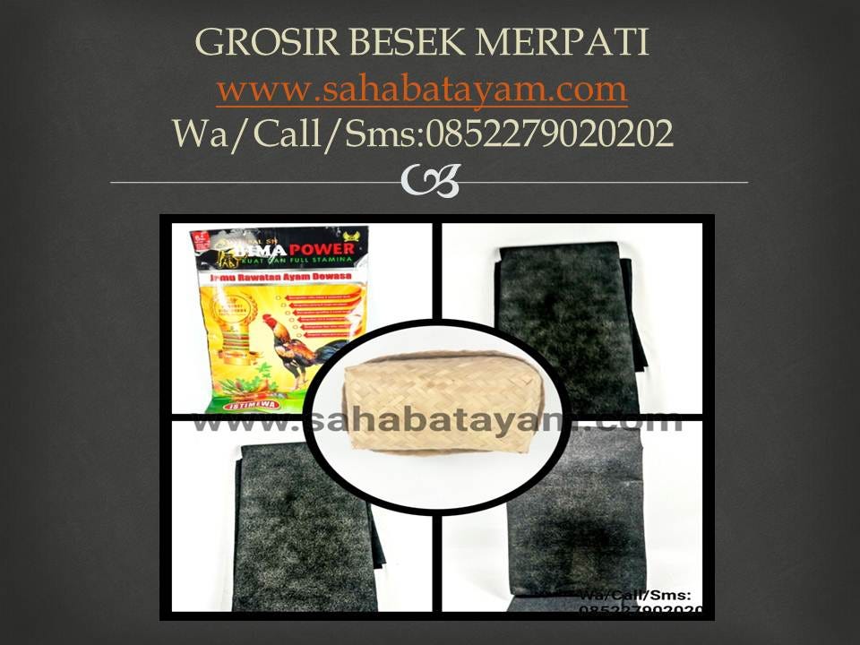 Wa O85 227 9o2o2o Paling Baru Tempat Jual Kandang Burung Merpati