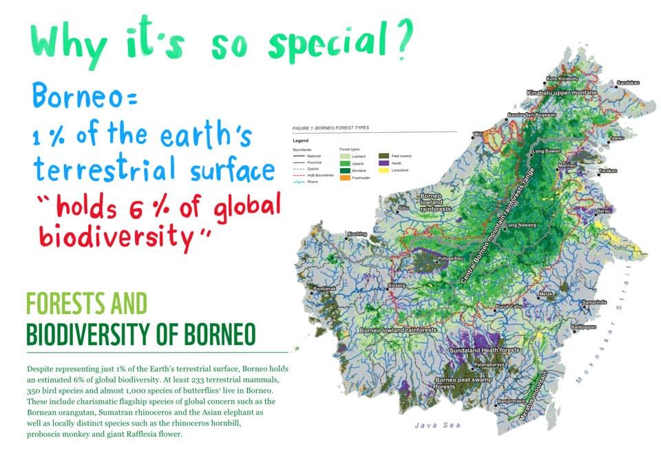 環境と人々の営み スタディツアーinインドネシア カリマンタン島 17 18 By Hands Project Hands Magazine 日本語版 Medium