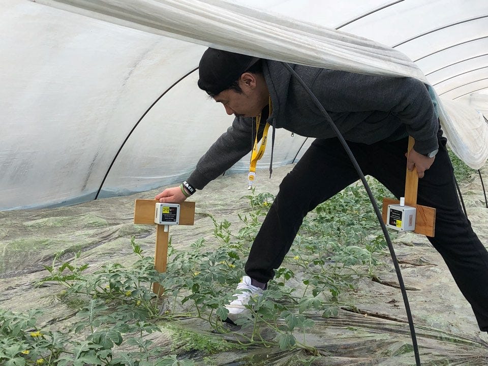 Thing Iot Smart Greenhouse Project In Japan A Practical Overview Featuring Temperature Humidity Sensing By Leland Creswell From Daliworks Medium